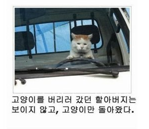 오랜만에 제목학원 3.png
