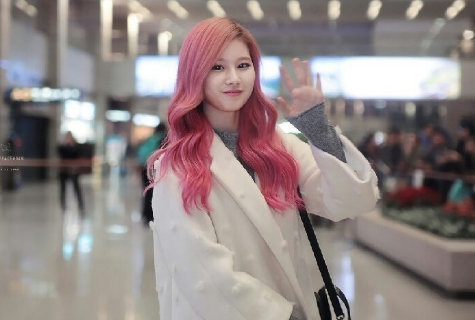 사나.png