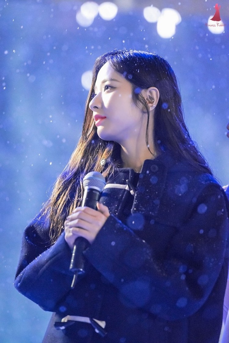 보나 1.jpg