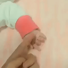1488614519_n5aLXCdE_cd8e19d85cb26304a5358232c00e6571.gif