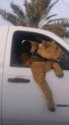 1794589165_sOwKixI9_ezgif_com-resize.gif