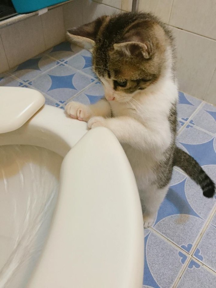 1846048785_h41ymCGv_15b754416dd2f0c59 - 복사본.jpg