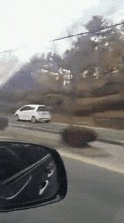 59afc73ef30d3847d5faf929ef3cfd86_nywFHEb2AsZ9QhkUTHWWChgrXPqyQ7.gif
