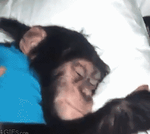 93ea2e3ebaef1bf619517de027e5c5d8_txRXbmLELCzN2ES9.gif