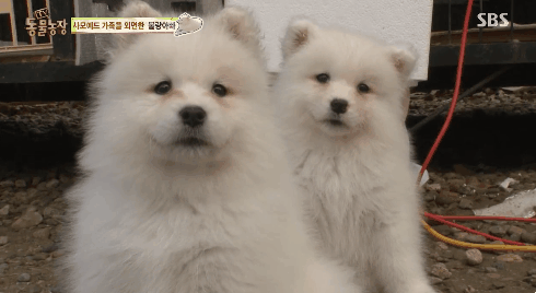 3717642082_l9fhnb24_AC_7.gif
