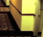룸서비스대참사.gif
