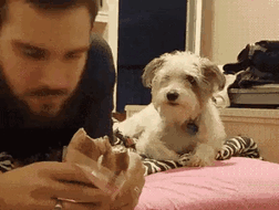 3024378448_cvEdfjoy_default.gif