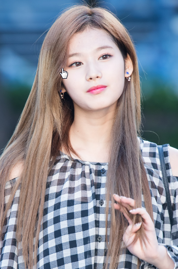 사나2.png