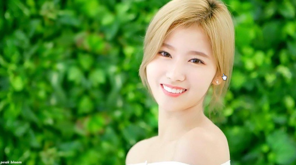 사나.png