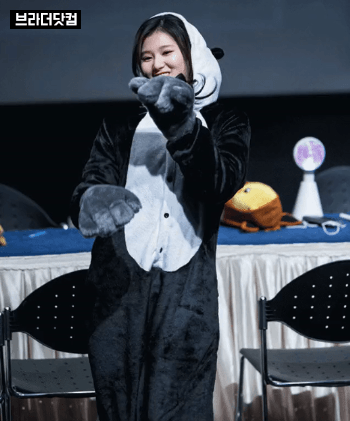 팬더사나.gif