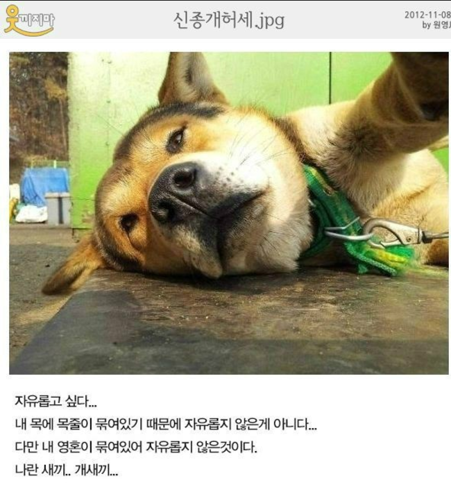 ㄷㄷ.png