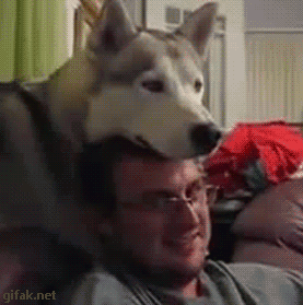 e7abaf72f4094d7e36a5cd4dbf0527a5.gif