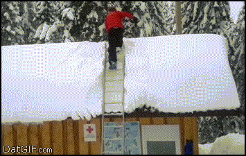 1.gif