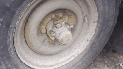 1508153922.gif