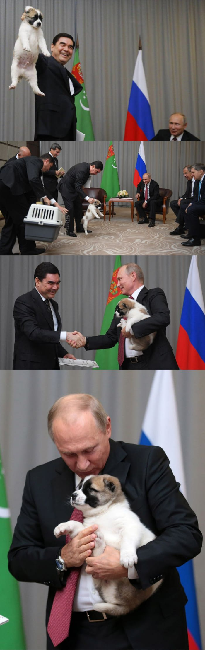 aDgCL9L.jpg