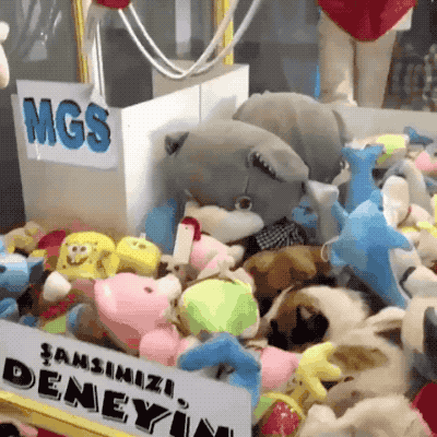99754D335A0DBFAF011DC7.gif