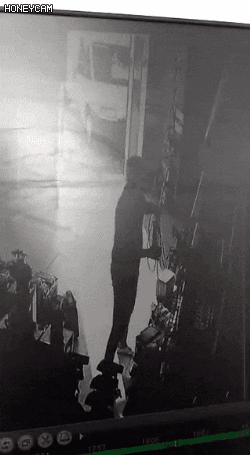 1.gif