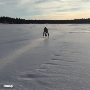 214603482.gif