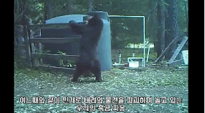 99B16F3D5A5C54322C2B22.gif