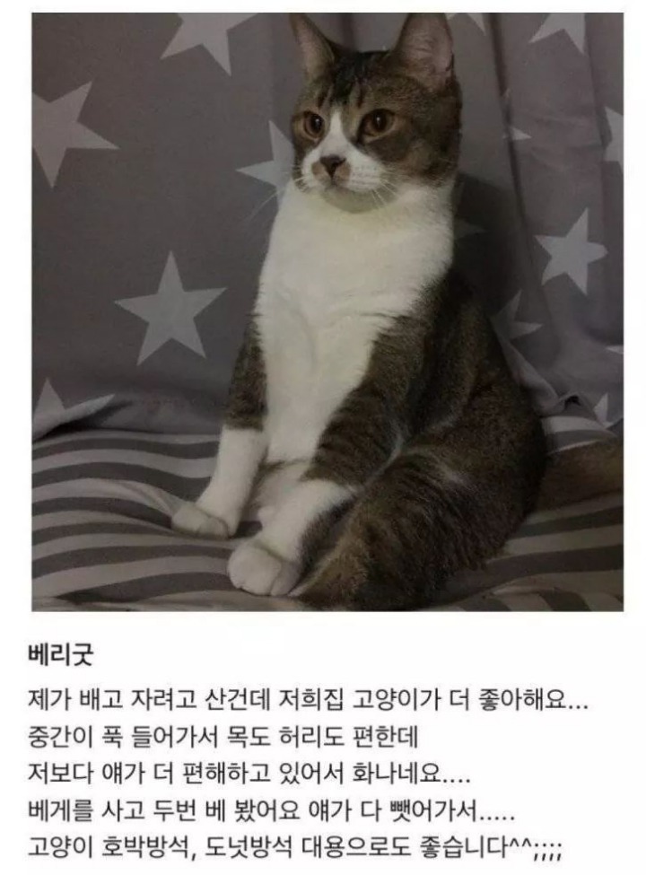 다운로드 (14).jpg