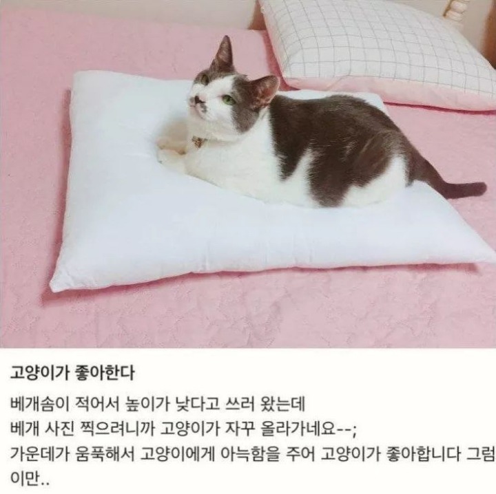 다운로드 (13).jpg