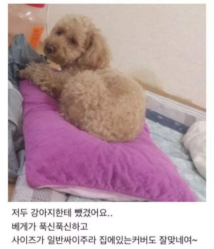 다운로드 (15).jpg