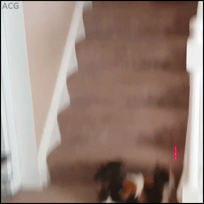 1 (15).gif