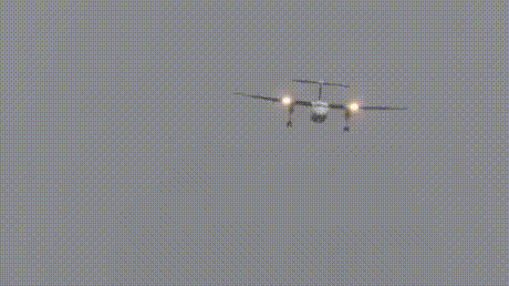 1 (1).gif