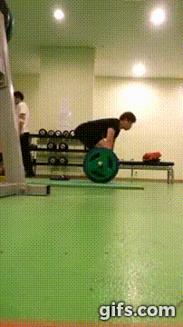 i16027288919.gif