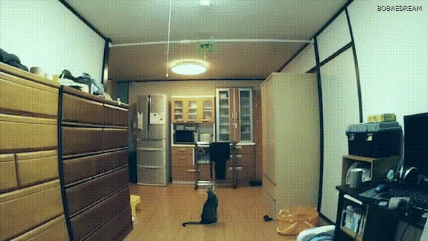 ezgif-1-20694b191b.gif