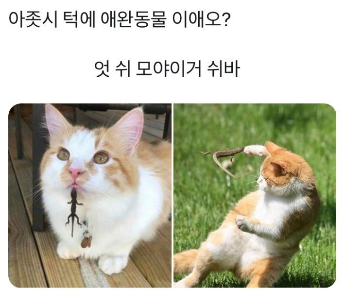 그거 키우는거예요.jpeg