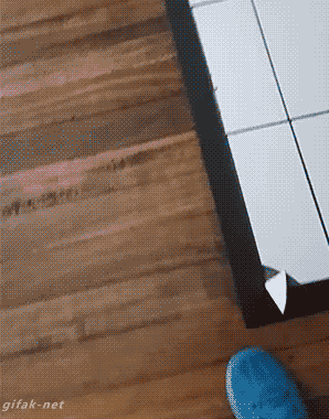 3589239_1522145609718.gif