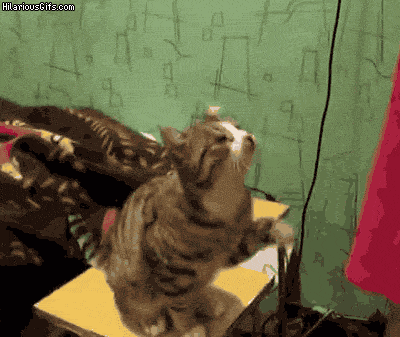 27cd6ff0f5cba03e548f168224a651b3.gif