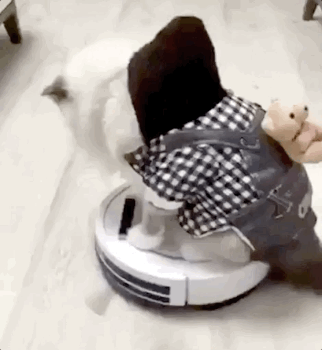 무서운%20졸음운전.gif