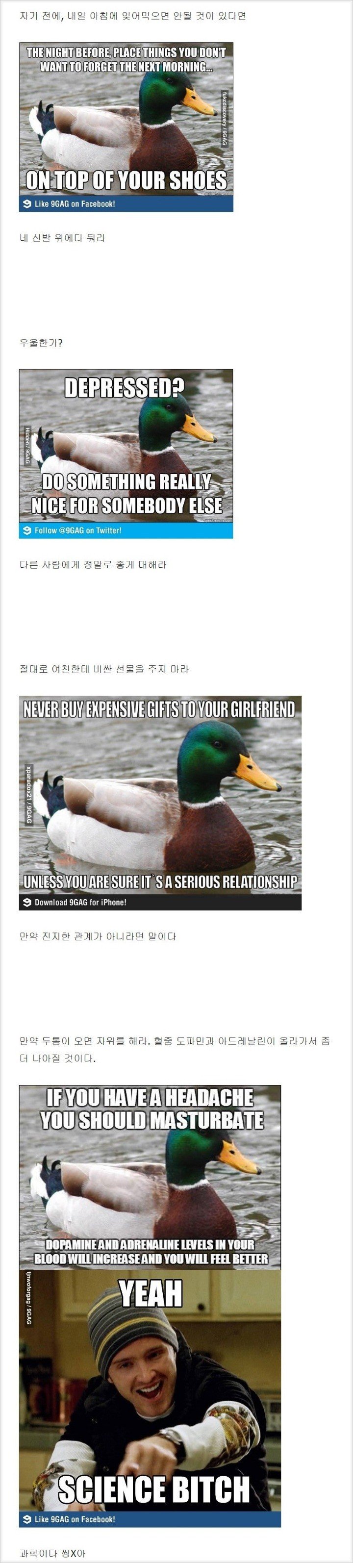 duck5.jpg