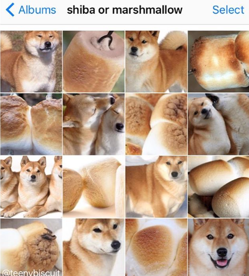 tumblr_p5golzfr6T1vishcqo2_540.png