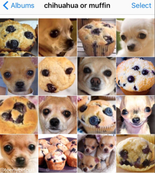 tumblr_p5golzfr6T1vishcqo4_540.png