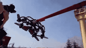 R1024x0.gif