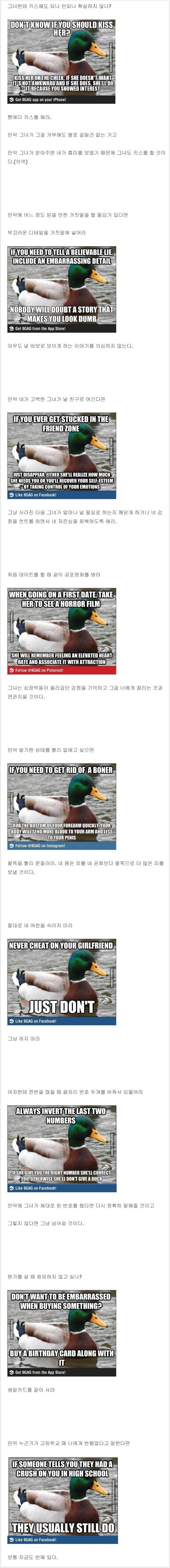 duck4.jpg