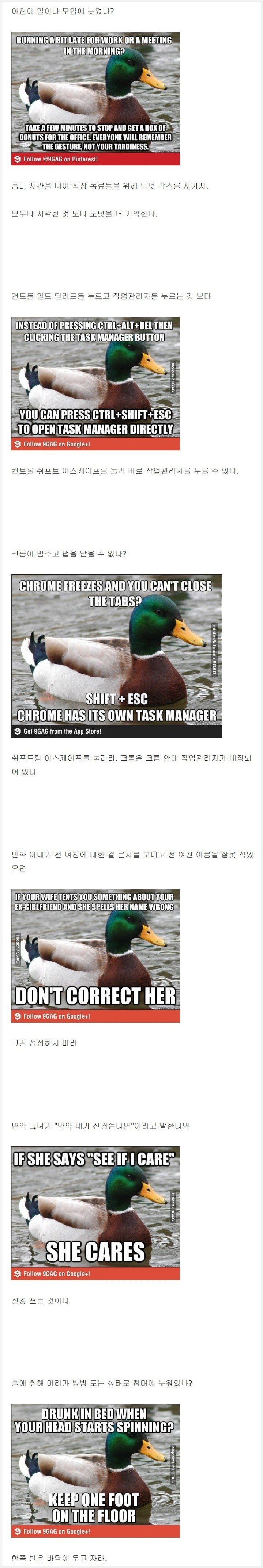 duck2.jpg