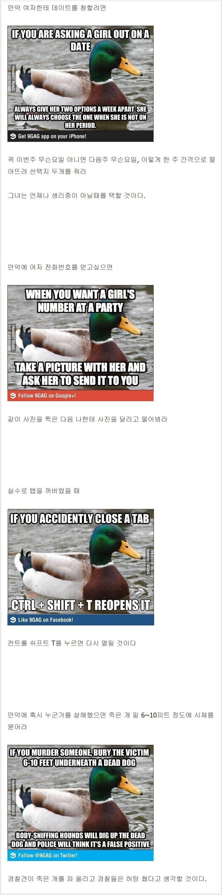 duck1.jpg