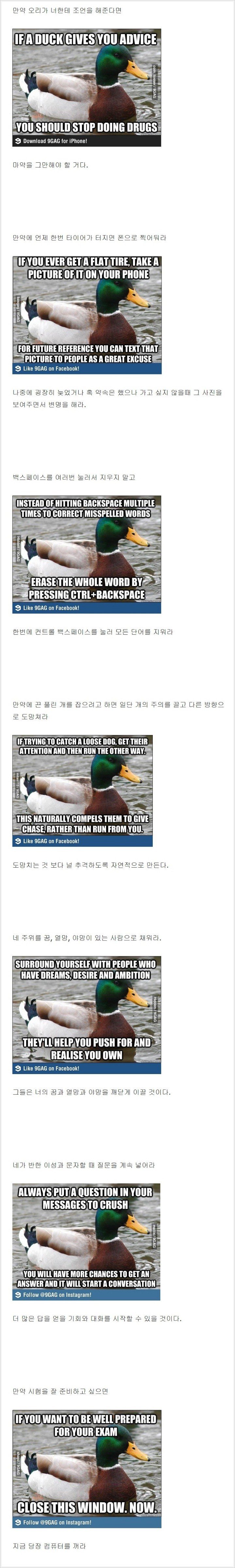 duck3.jpg