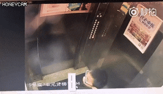 161e002412813f0b0.gif