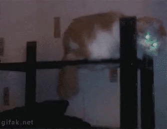 ezgif-4-472ef9e7d4.gif