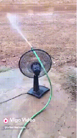 3613920_1524618720073.gif