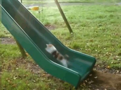 3607623_1523998250387.gif