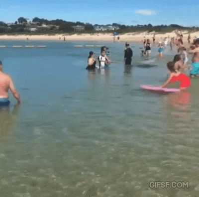 3614850_1524689516530.gif