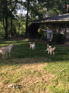1.gif