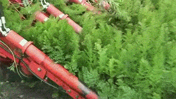28865C94-14FA-4BD1-A960-8D8298CE1F8A.gif