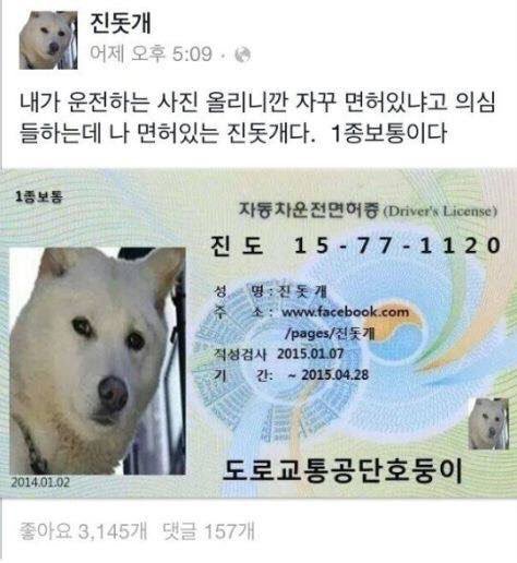 08.jpg